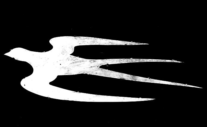 The Swallow Emblem of C62-2