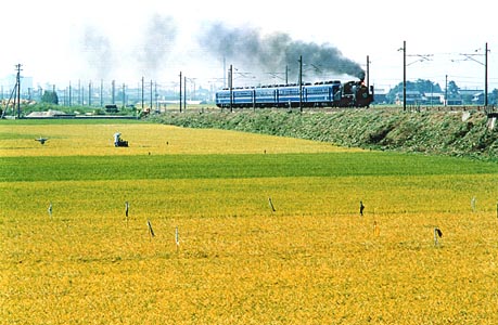 現役蒸気機関車の写真・映像 北びわこ号